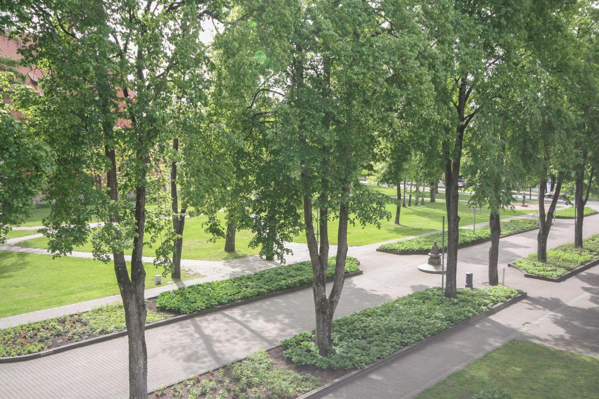 Apartamentai Vilniaus Alejoje Druskininkai Kültér fotó